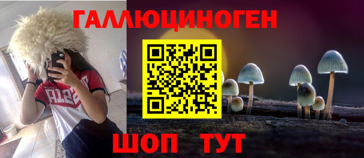 Галлюциногенные грибы прущие грибы Советск
